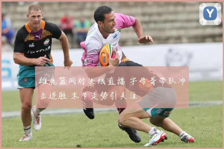 雄鹿篮网对决线直播 字母哥带队冲击连胜 末节走势引关注