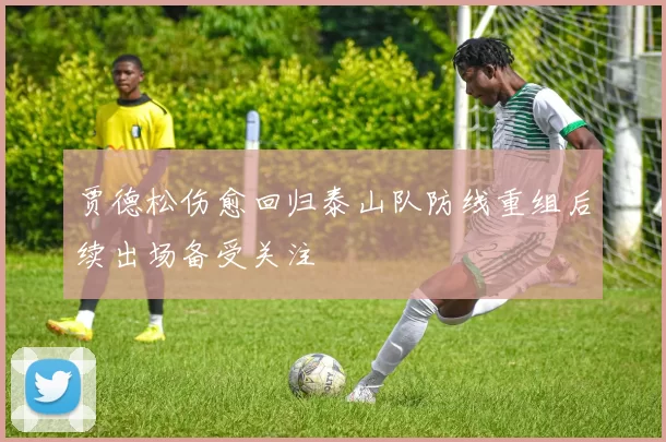 贾德松伤愈回归泰山队防线重组后续出场备受关注