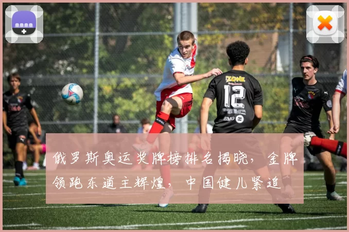 俄罗斯奥运奖牌榜排名揭晓,金牌领跑东道主辉煌,中国健儿紧追