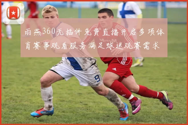 雨燕360无插件免费直播开启多项体育赛事观看服务满足球迷观赛需求